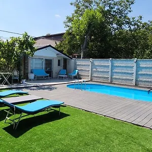 Morii Pool Vilă